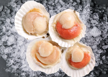 Half Shell Scallops (size 7-8cm) 1kg, frozen