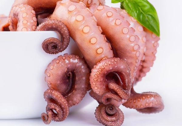 Octopus Tentacles, Cooked (Spain), 300g (2-3 legs) pack, frozen