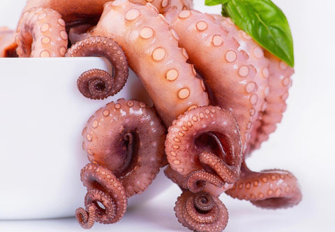 Octopus Tentacles, Cooked (Spain), 300g (2-3 legs) pack, frozen