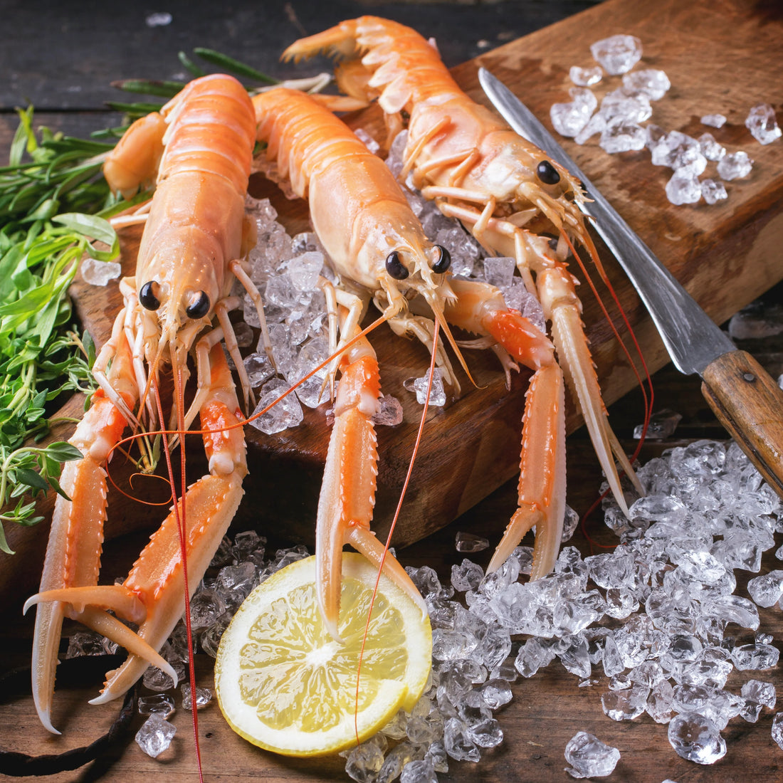 Sashimi Grade Whole Mozambique Langoustine (Scampi) size S, price/1.5kg box, frozen