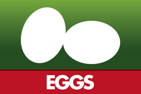 Cage free New Zealand Barn eggs, hormone fee and antibiotics free