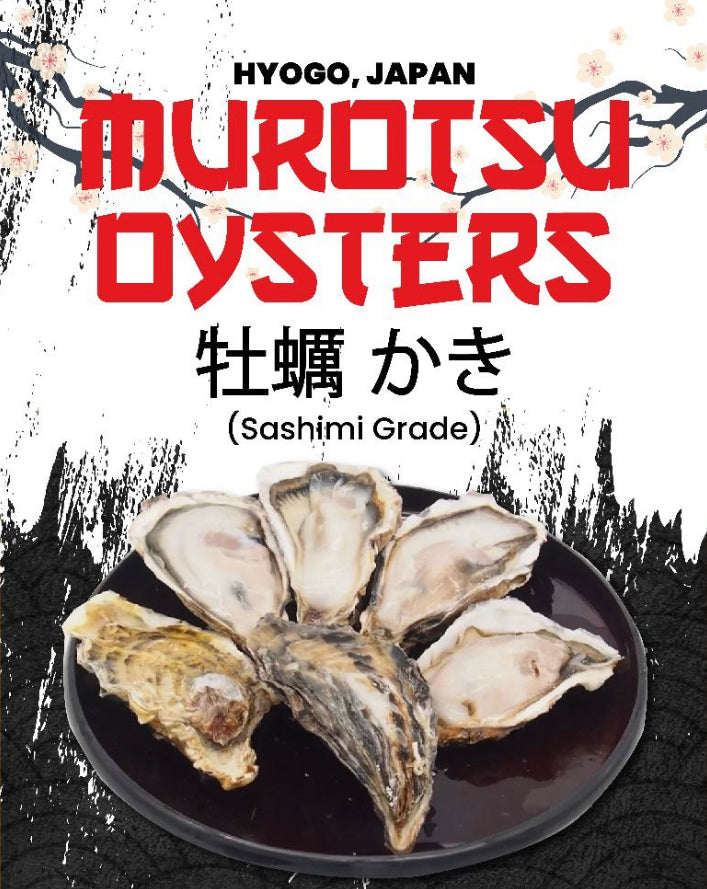 Murotsu Oysters (Japan) Sashimi Grade, M (60-80g), approx 18 pcs/pack, frozen