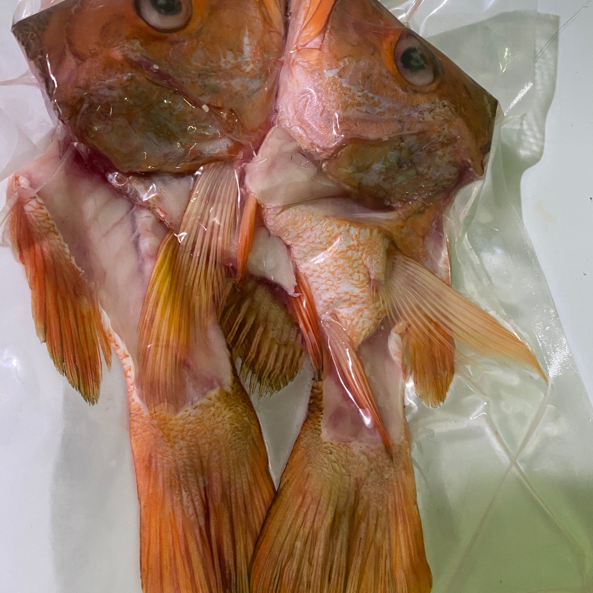 Wild Red Snapper, heads, carcasses & tails, 675-725g, price/pack, frozen