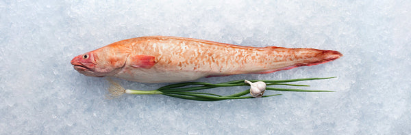 Wild Ling Cod Fillet (New Zealand), boneless, skinless, 500g/pack, frozen