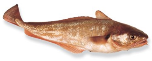 Fresh Wild Red Cod Fillets (New Zealand), skinless, boneless, price/450g pack