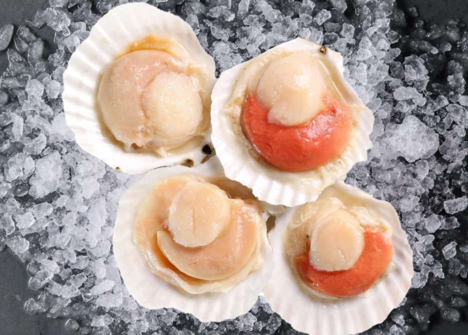 Half Shell Scallops (size 7-8cm) 1kg, frozen