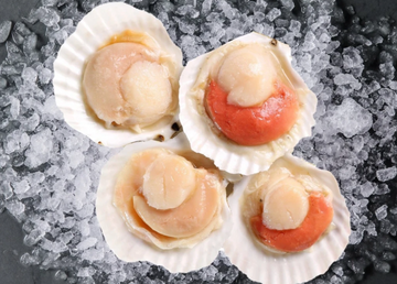 Japanese Half Shell Scallops (size 7-9) 1kg, frozen