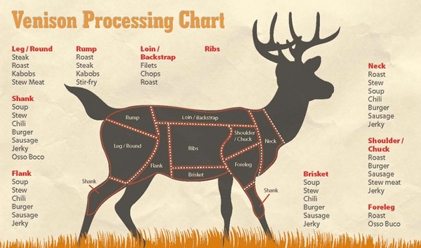 Grass Fed Venison (Red Deer) Frenched (8 Rib) Rack (cap off), 1.1kg, price/portion, frozen