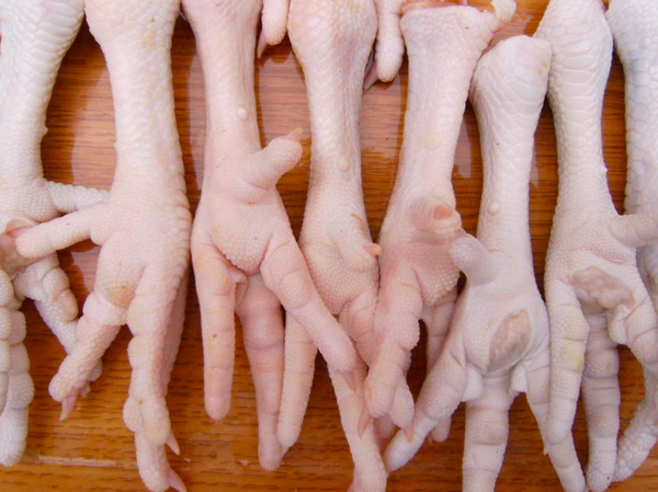 Organic (Halal) Chicken Feet (Malaysia), 500g pack (12-15 pcs), frozen