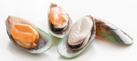 New Zealand Jumbo Green Mussels (Half Shell), price/907g box, frozen
