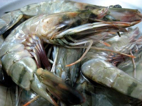 Prawns (Peeled Head/Tail Off/PND), 16/20, price/1kg pack, frozen