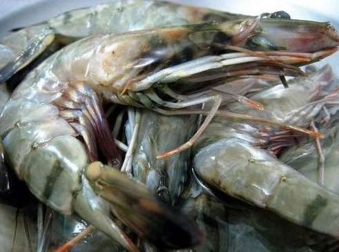 Black Tiger Prawns (Head On Shell On), 21/25 (Halal), price/1kg box, frozen
