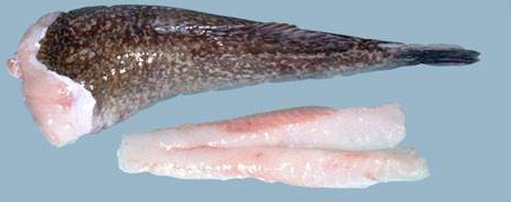 Wild Monkfish Fillets (New Zealand), boneless, skinless, 350g, price/pack, frozen