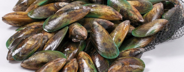New Zealand Greenshell Mussels (Full Shell) 800g, price/pack, frozen