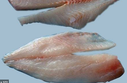 Fresh Wild Sea Bream (Tarakihi) Fillets (New Zealand), boneless, skinless, 250g, price/pack