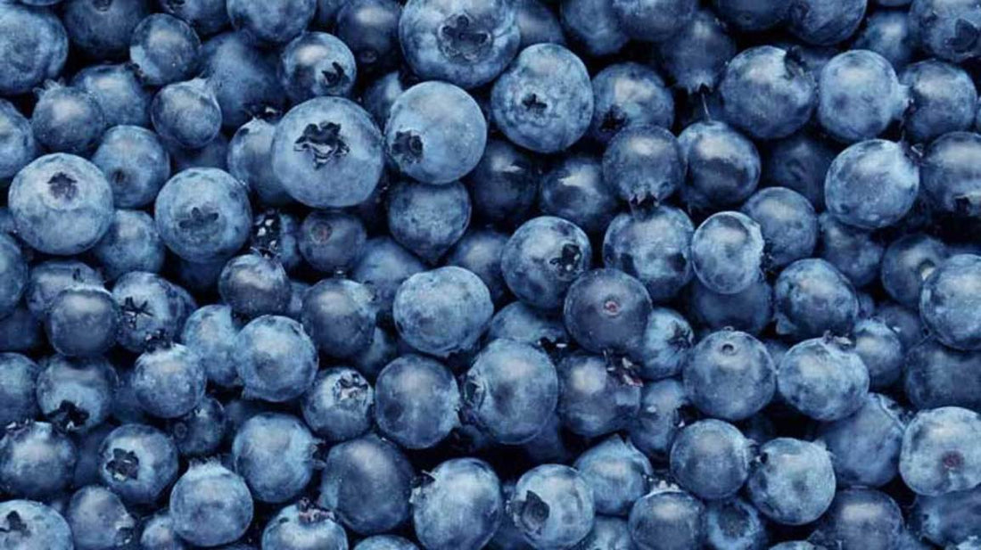 Orchard Gold Supreme Blueberries, 500g, price/pack, frozen