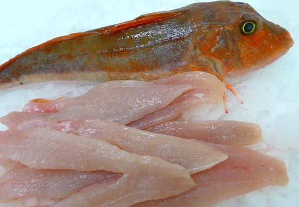 Wild Gurnard (Red) Fillets (New Zealand), boneless, skinless, 350g, price/pack, frozen