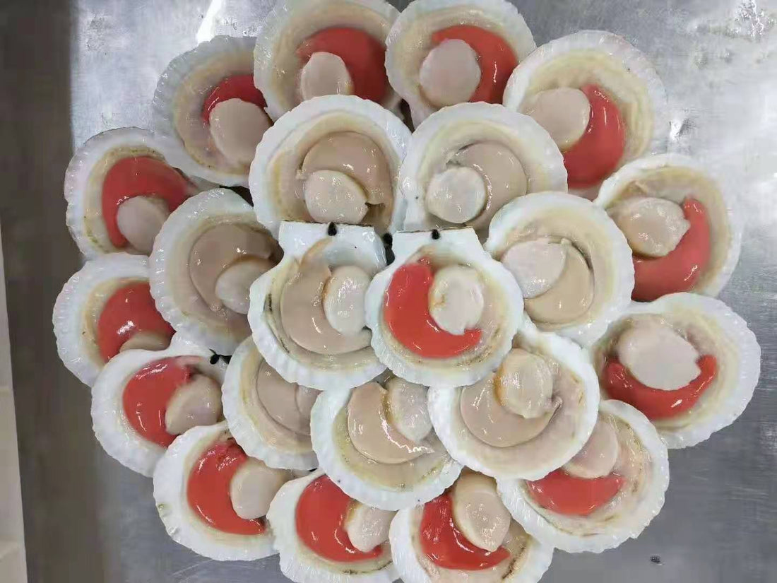 Japanese Half Shell Scallops (size 7-9) 1kg, frozen