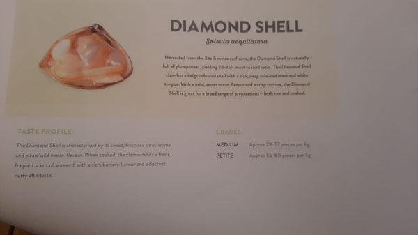 Diamond Shell Clams (Cloudy Bay), 1kg, frozen
