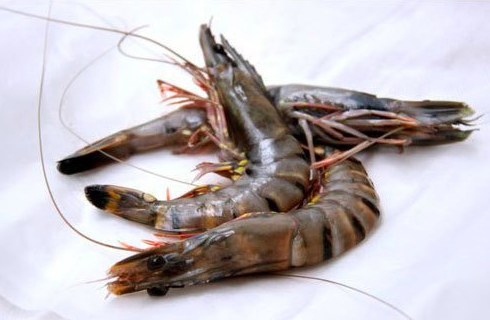 Black Tiger Prawns (21/25) with a bottle of Durvillea (Marlborough) Sauvignon Blanc