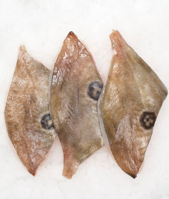 Wild John Dory Fillets (New Zealand), skin on, boneless, price/500g, frozen