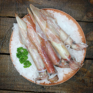 Wild Arrow Whole Squid (Calamari), New Zealand, 3 pces per 500g/pack, frozen